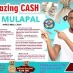 MulaPal Kenya