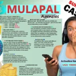 MULAPAL AGENCIES