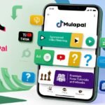 How Mulapal Agencies Works?